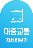 “대중교통